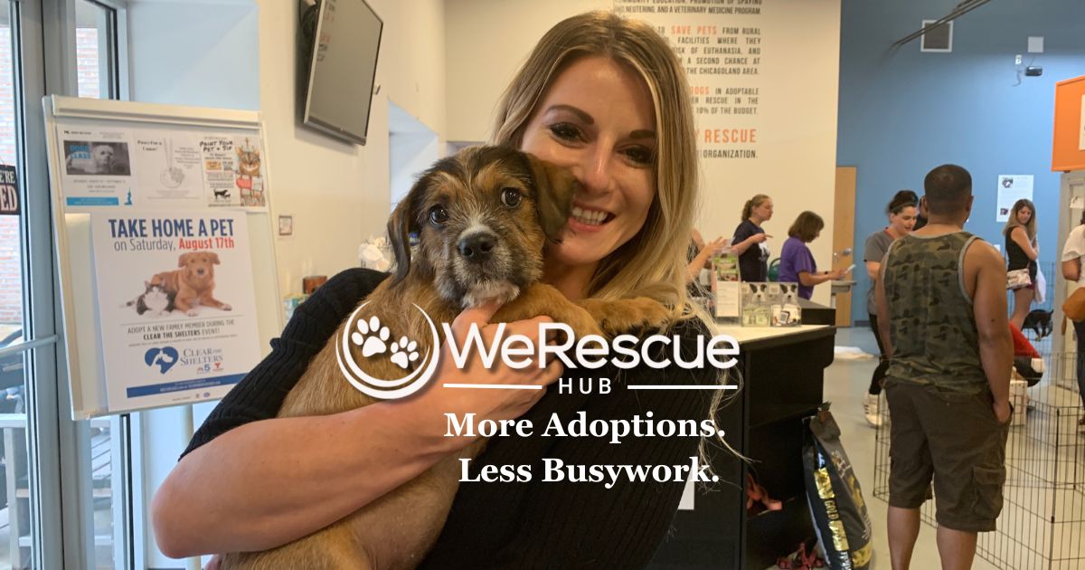 WeRescue Hub - Shelter Management That Actually Helps